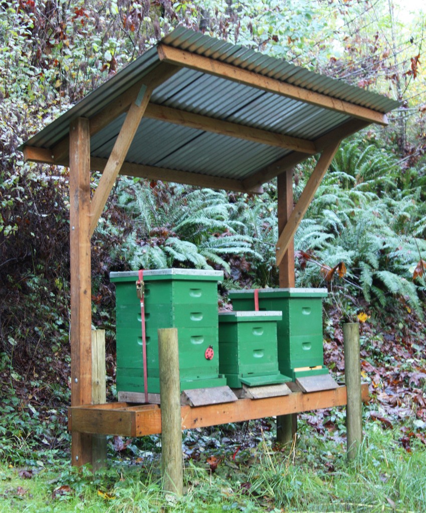 This covered hive stand also gives good protection for most non-windy rains.
