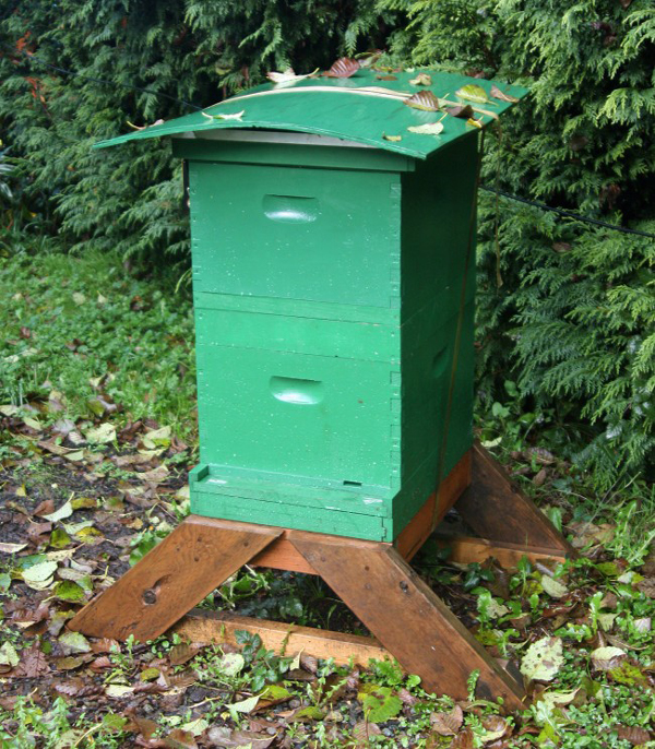 A tip for torrential rains: a hive shelter made from plywood and attached with a tie-down.