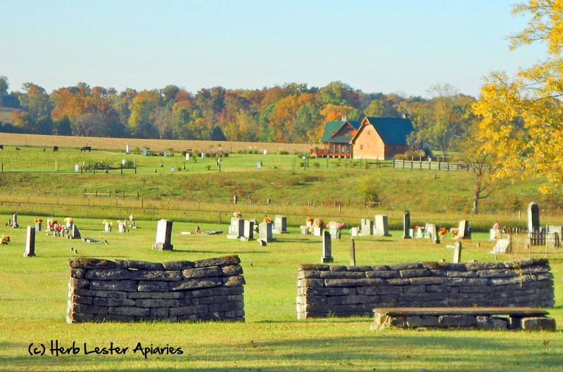 Cemetery honey courtesy Herb Lester Apiaries.
