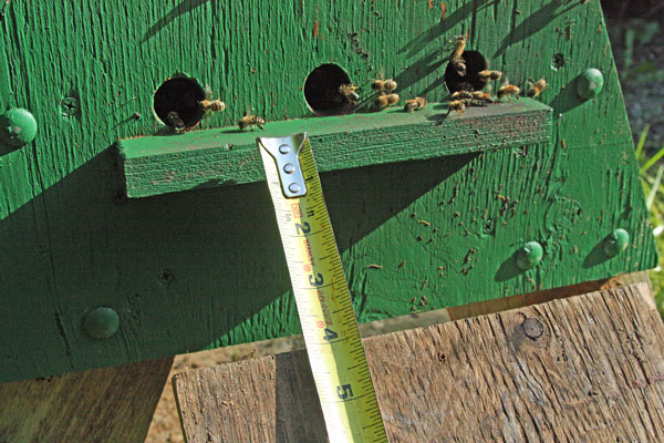 Four-inches-from-landing