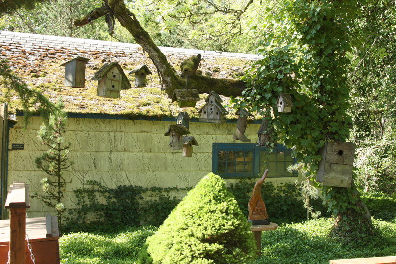Bird houses in a tree containing bumble bee nests