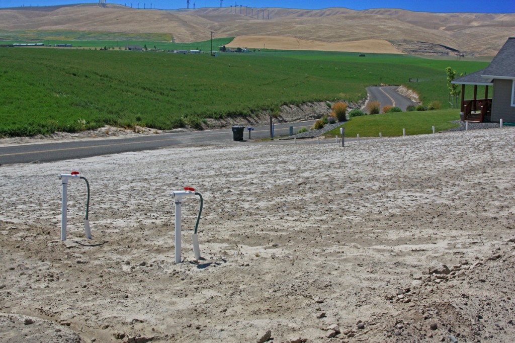 Alkali-beds-underground-irrigation