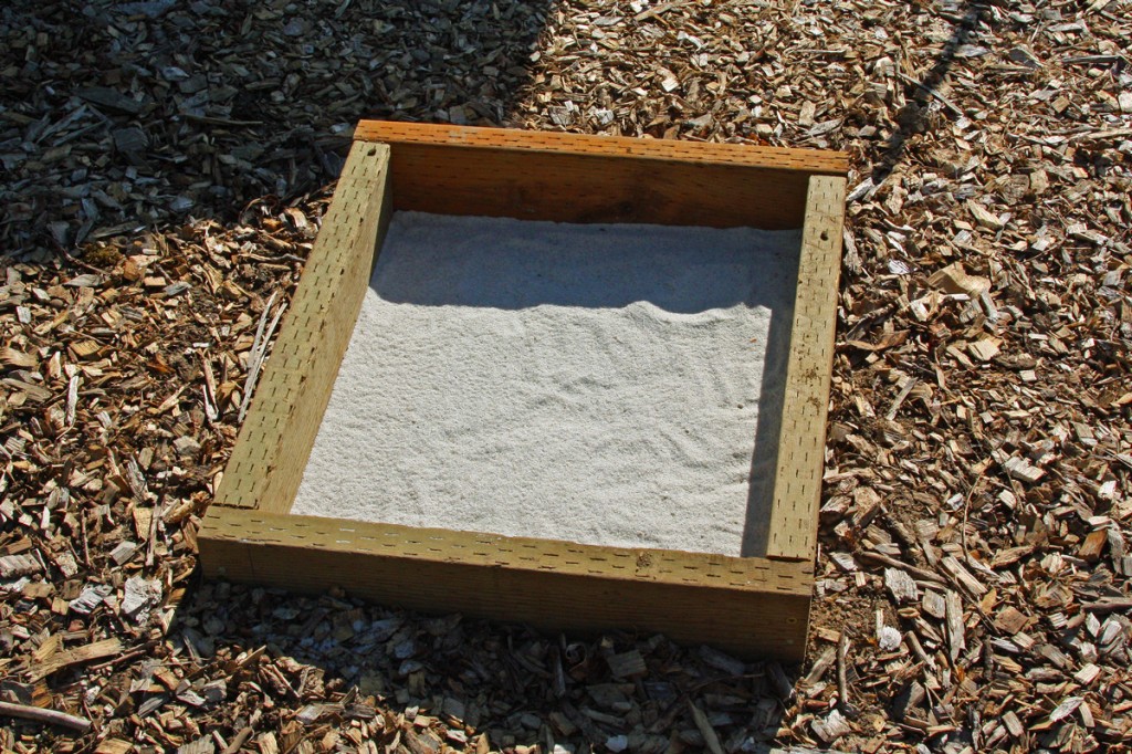 Sandbox-for-bees