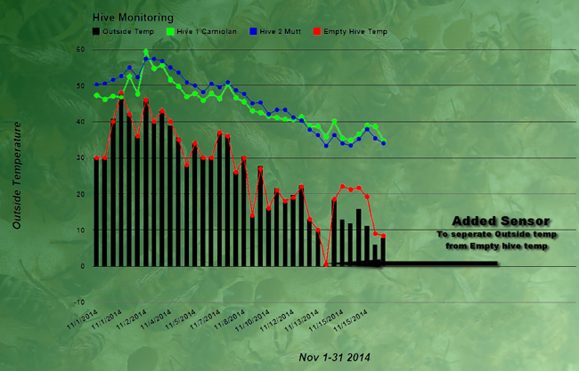 Graph showing the temperatures inside the three hives, and beginning November 15, outside the hives.