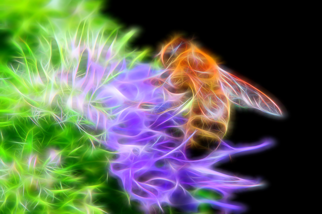 Christmas tree bee. 