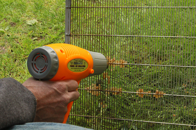 A-heat-gun-melts-the-beeswax-in-seconds.