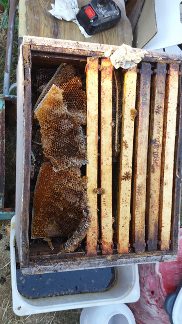 Aram's-steam-melter-2