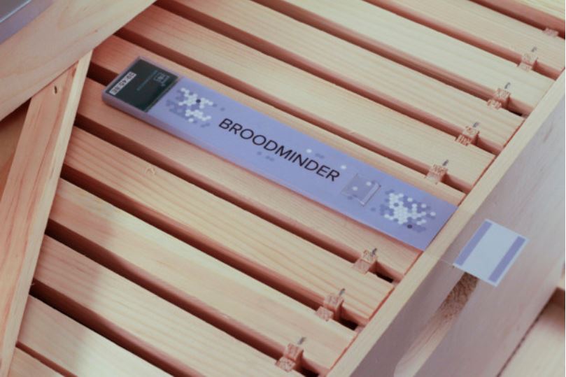 BroodMinder
