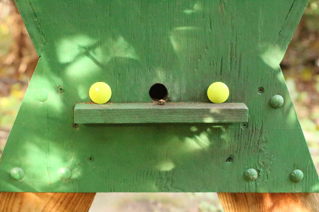 Wooden-plugs-in-top-bar hive