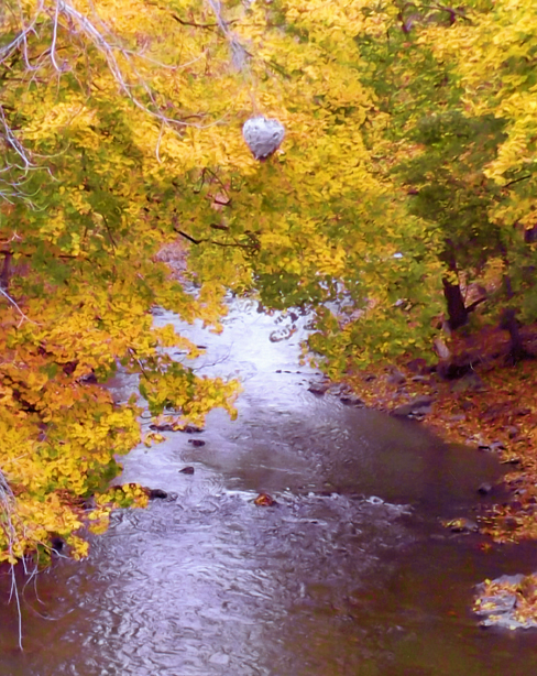 Hornet nest over stream.