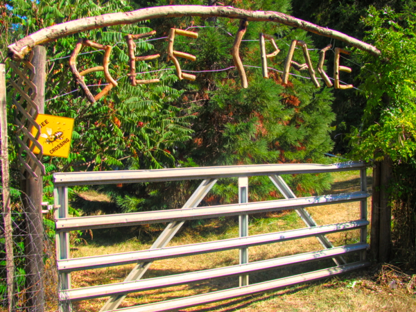 "Bee Space" spelled out in driftwood.