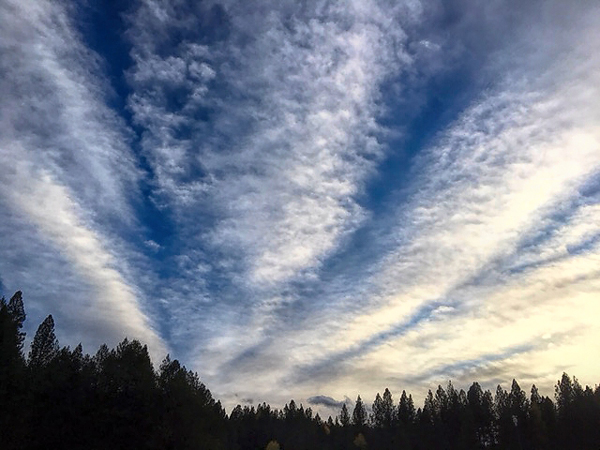 The sky on the morning the hives toppled.
