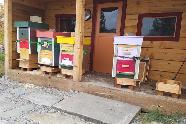 Montana bee house with hives inside