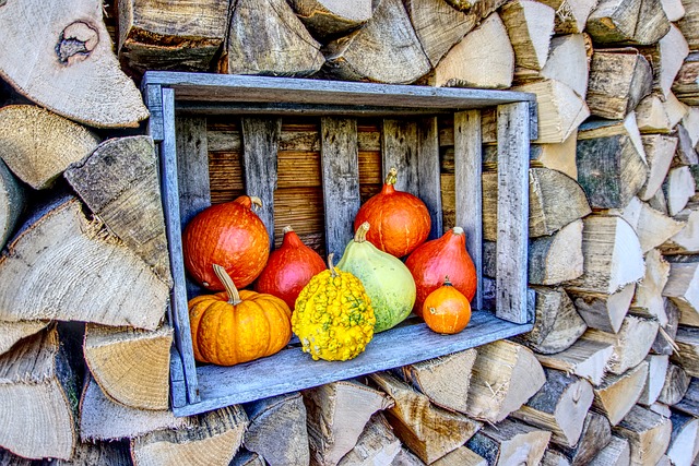 A Thanksgiving message from Honey Bee Suite.