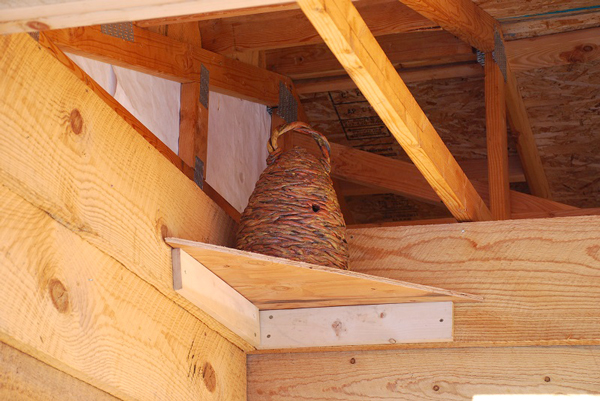 A minature skep hive on display in the honey house. &copy; Michael Skeels.
