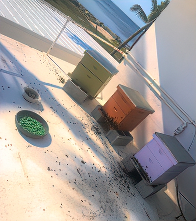 In the Keys, everything gets dosed with pesticide, even the water.