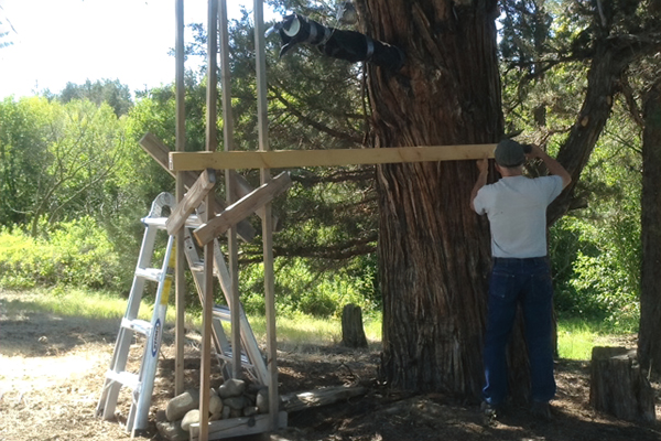 A scaffolding is often necessary to hold the brood box at the same height as the entrance hole and to provide a place for the beekeeper to stand.