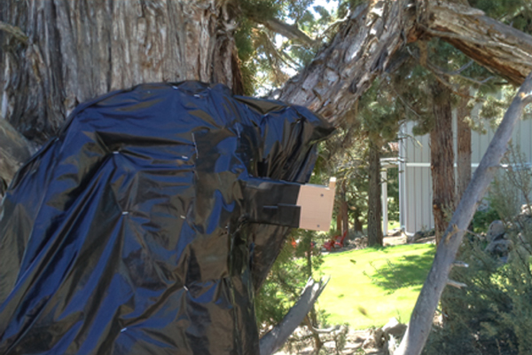 The Price trap-out: Once the bees are accustomed to using a single entrance, the extension can be attached. It is important to seal the area around the attachment point.
