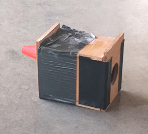 A vestibule with a removable entrance cone can be constructed from wood or heavy duty cardboard. If bees are reluctant to pass through the cone, the vestibule can be opened for a few days.