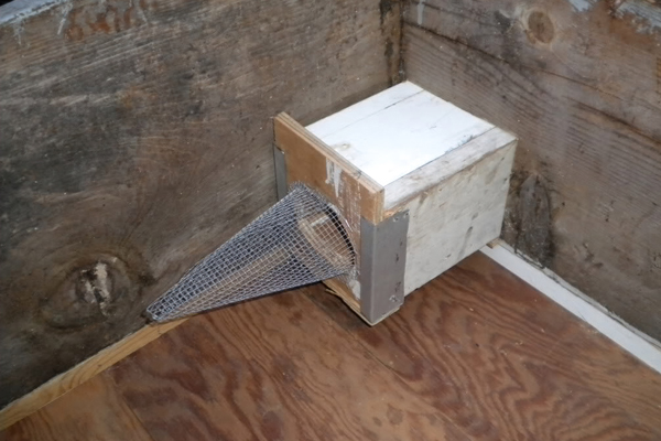 The vestibule is installed inside the brood box before the brood box is attached to the bees’ main entrance. The funnel can be made from wire mesh or plastic, but plastic is less likely to snag antennae and legs.