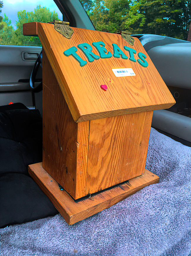 Pat found this wooden treats box at a recycling store. She's planning on using it as an emergence box and placing it facing south near fresh mason bee housing.