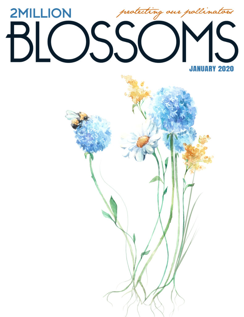 2 Million Blossoms January 2020 cover.