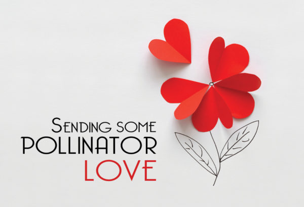 Spread the word and receive a gift for you and one for your club.