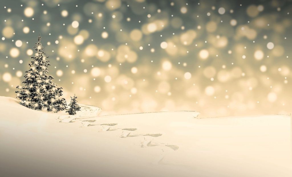 Fastasy of flight: Image of a conifer tree covered in snow and tracks leading away from it.