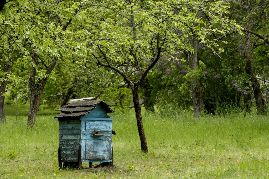 Old blue beehive in an orchard. Only you can decide when it's time to quit.