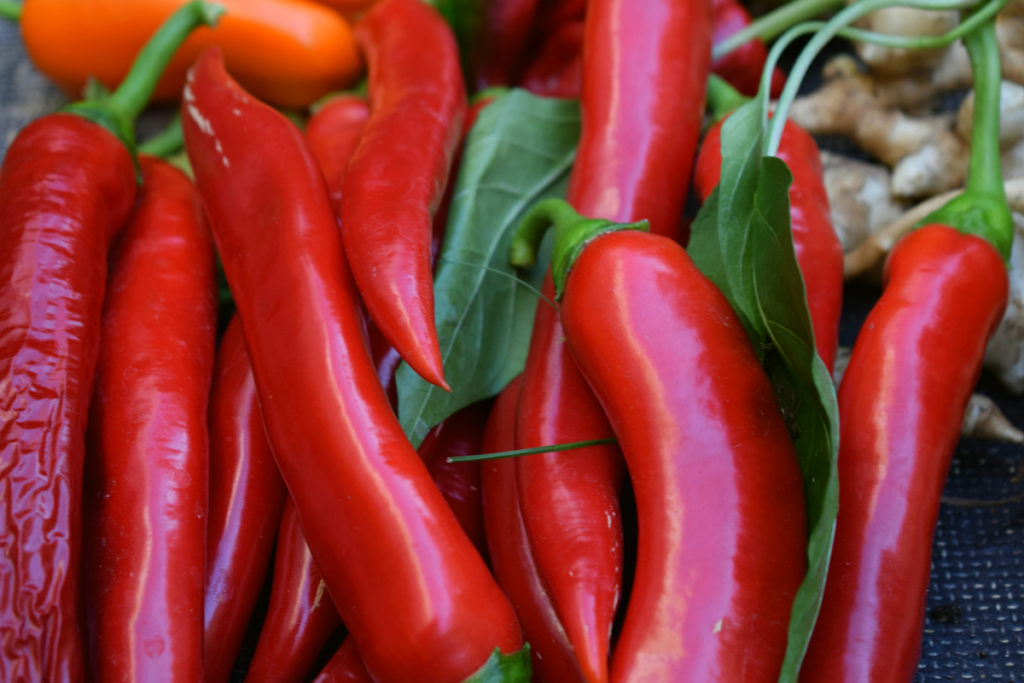 The terroir of a region is reflected in hot sauces made from specific varieties of chili peppers.