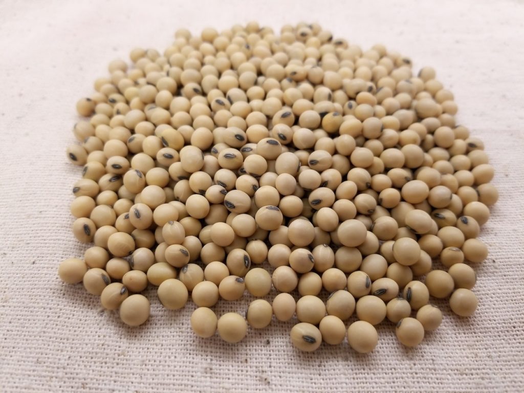 Today, soybean candles are especially popular among vegans and others who prefer not to use beeswax. Soybeans are processed and rolled into flakes before the oil is extracted and hydrogenated.